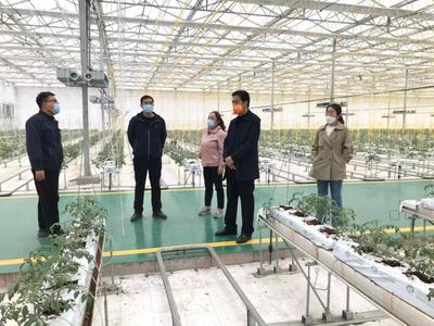 科技興農促發展，服務先行助振興——記山西農業大學專家團隊赴太谷區開展技術指導
